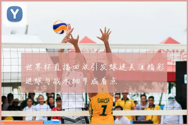 世界杯直播回放引发球迷关注精彩进球与战术细节成看点
