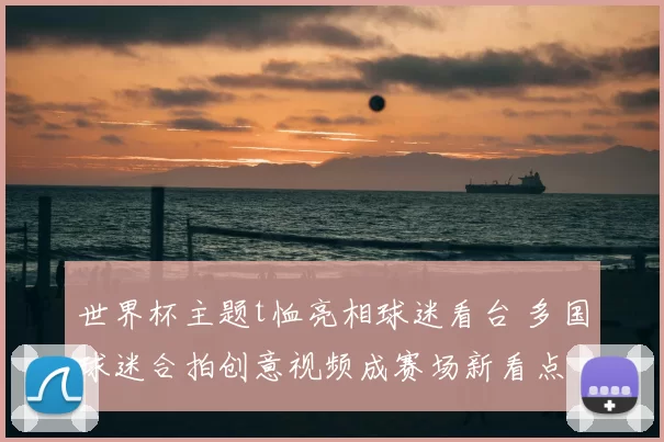 世界杯主题t恤亮相球迷看台 多国球迷合拍创意视频成赛场新看点