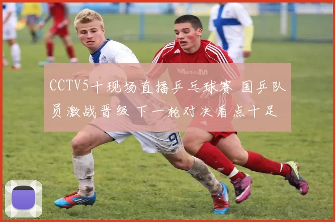 CCTV5十现场直播乒乓球赛 国乒队员激战晋级 下一轮对决看点十足