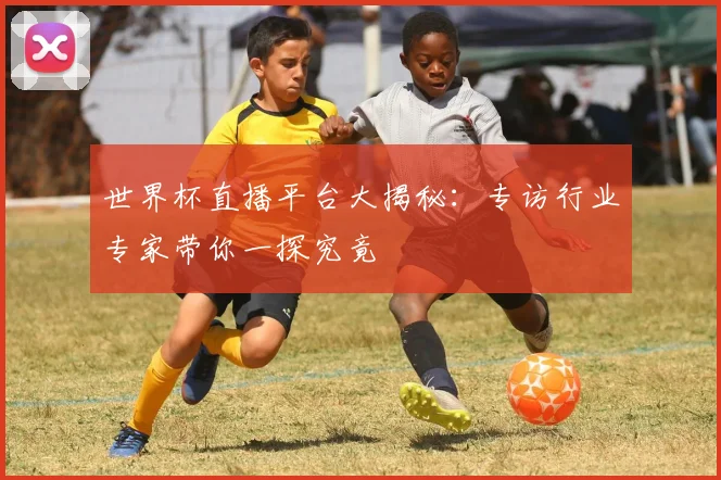 世界杯直播平台大揭秘：专访行业专家带你一探究竟