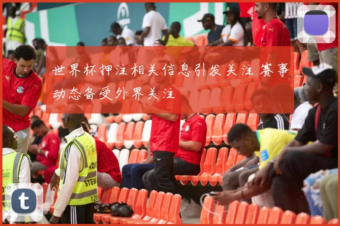 世界杯押注相关信息引发关注 赛事动态备受外界关注