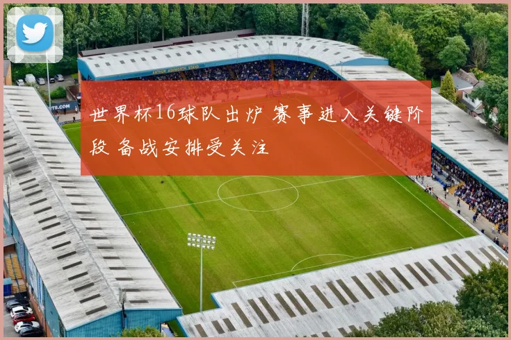 世界杯16球队出炉 赛事进入关键阶段 备战安排受关注
