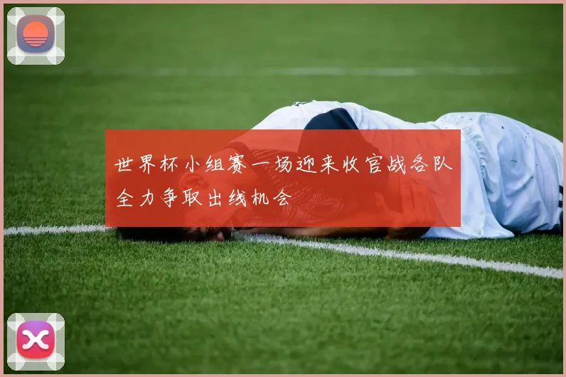 世界杯小组赛一场迎来收官战各队全力争取出线机会