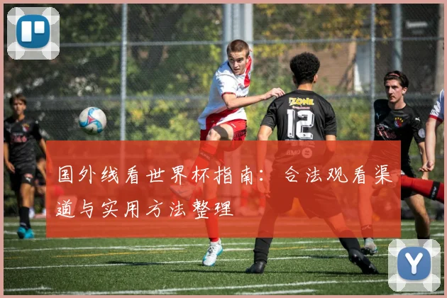 国外线看世界杯指南：合法观看渠道与实用方法整理