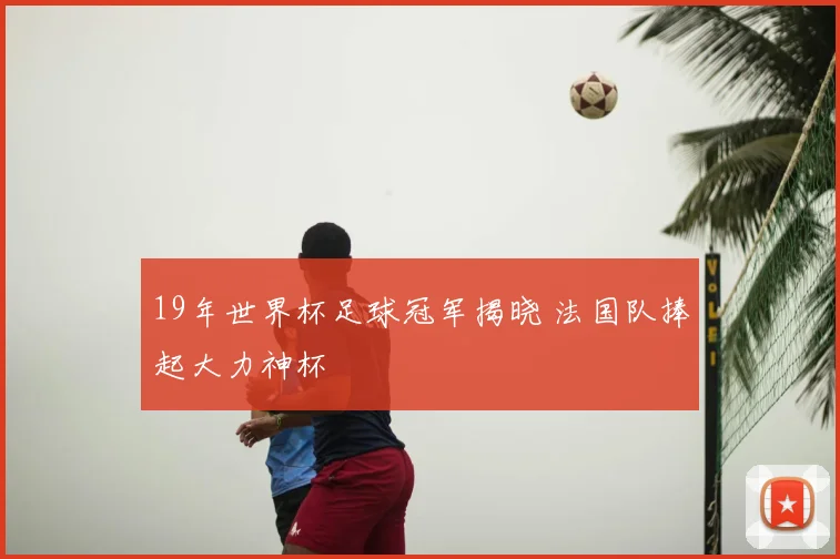 19年世界杯足球冠军揭晓 法国队捧起大力神杯