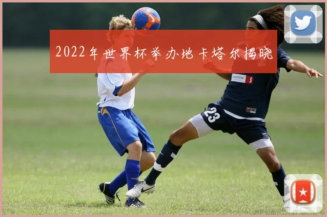 2022年世界杯举办地卡塔尔揭晓