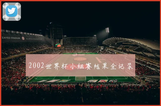 2002世界杯小组赛结果全记录