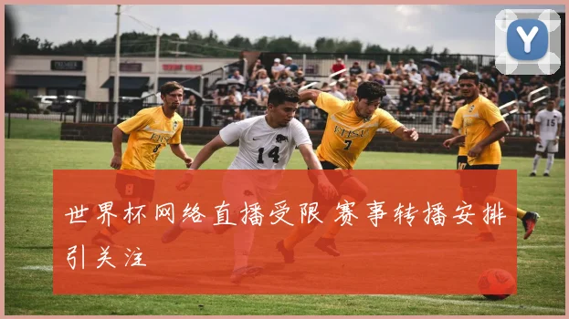 世界杯网络直播受限 赛事转播安排引关注