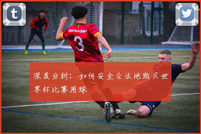 深度分析:如何安全合法地购买世界杯比赛用球