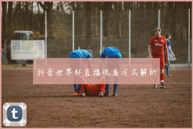 抖音世界杯直播观看方式解析