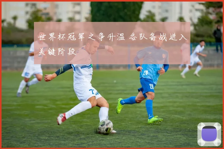 世界杯冠军之争升温 各队备战进入关键阶段