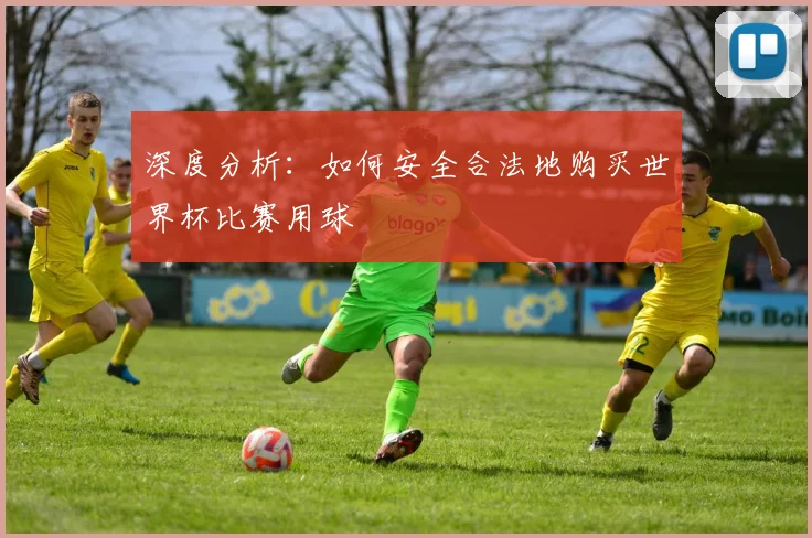 深度分析:如何安全合法地购买世界杯比赛用球