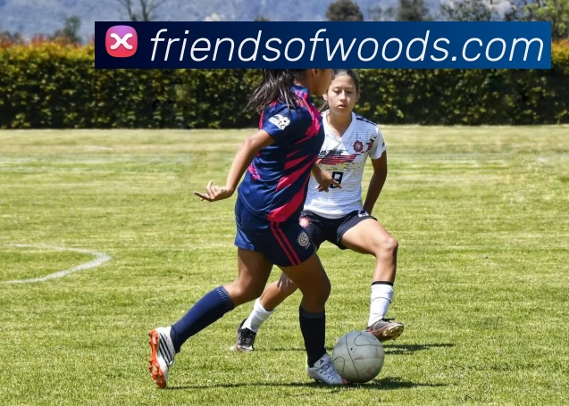 App Interface Preview